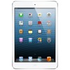Apple iPad mini 16Gb Wi-Fi + Cellular белый - Семёнов